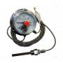 Термометры капиллярные (электроконтактные) ТМП-100С фото 1